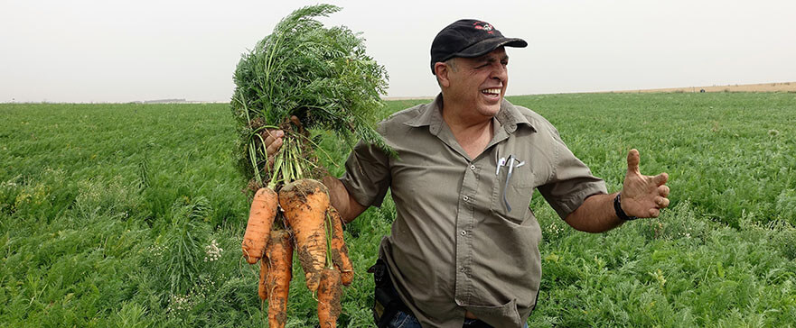 Rafi holding a bunch of carrots